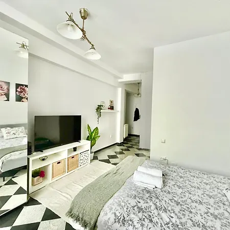公寓 Victoriei Spacious *