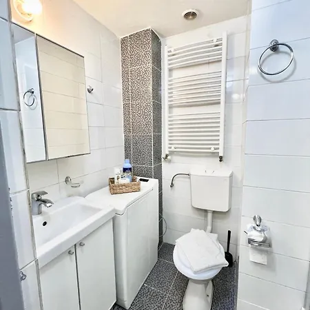 Victoriei Spacious Apartment *