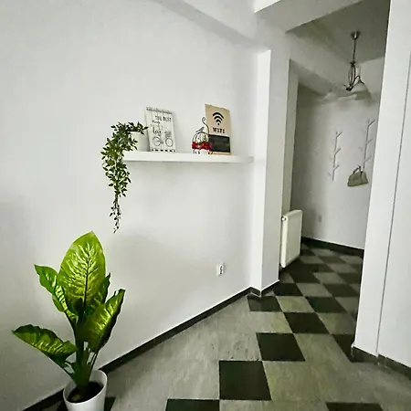 Victoriei Spacious Apartment *