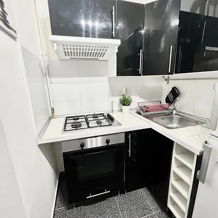 Victoriei Spacious Apartment *