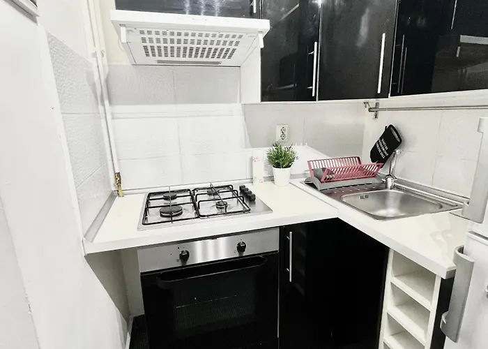 Victoriei Spacious Apartament *