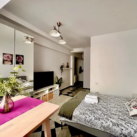 아파트 Victoriei Spacious 부쿠레슈티